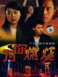 燃烧电视剧在线观看,揭秘都市生活背后的激情与挣扎  第3张