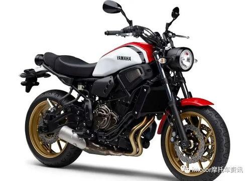雅马哈新车爆料视频,揭秘全新设计与性能亮点 第1张 雅马哈新车爆料视频,揭秘全新设计与性能亮点 第1张
