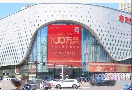 石家庄最新爆料头条,揭秘城市热点事件背后的真相 第2张 石家庄最新爆料头条,揭秘城市热点事件背后的真相 第2张